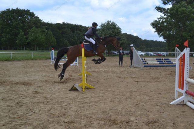 reitertag 2013 62